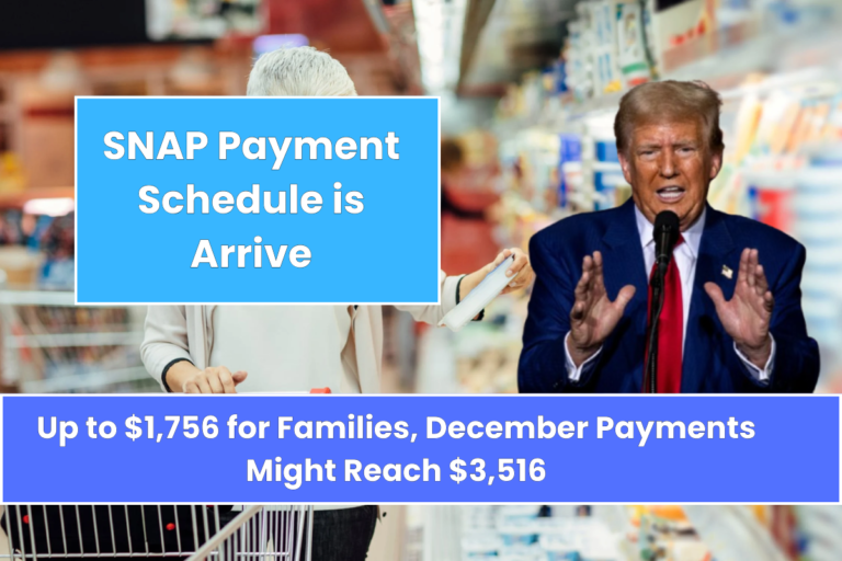 SNAP Benefits in November 2024